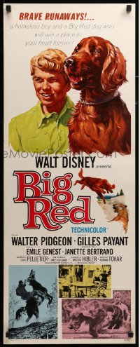 3m441 BIG RED insert '62 Disney, Walter Pigeon, cool artwork of Irish Setter dog!