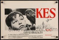 3t077 KES Belgian '70 young David Bradley only cares about his kestrel falcon, U.K. rating!