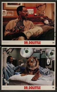 3z121 DOCTOR DOLITTLE 8 LCs '98 Eddie Murphy, Ossie Davis, Oliver Platt!
