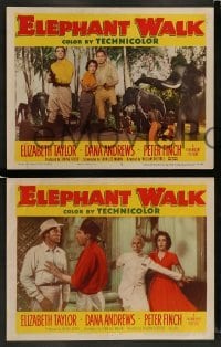 3z814 ELEPHANT WALK 3 LCs '54 sexy Elizabeth Taylor, Dana Andrews & Peter Finch in India!