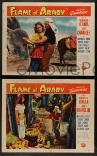 3z731 FLAME OF ARABY 4 LCs '51 Jeff Chandler, a tale of fiery love & high adventure!