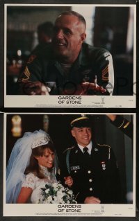 3z166 GARDENS OF STONE 8 LCs '88 James Caan, Vietnam War, directed by Francis Ford Coppola!