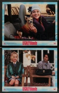 3z594 LEGALLY BLONDE 6 LCs '01 wacky images of Reese Witherspoon, Luke Wilson, tiny dog!
