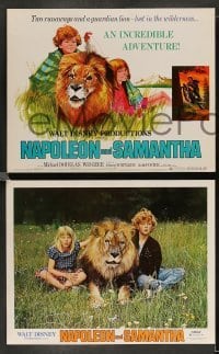 3z023 NAPOLEON & SAMANTHA 9 LCs '72 Michael Douglas, Jodie Foster & Johnny Whitaker & lion!