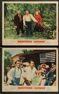 3z855 RAINTREE COUNTY 3 LCs '57 beautiful Elizabeth Taylor, Montgomery Clift, Lee Marvin!