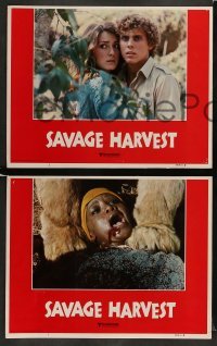 3z361 SAVAGE HARVEST 8 LCs '81 Tom Skerritt, Michelle Phillips, lion African adventure thriller!