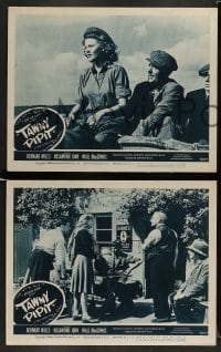 3z406 TAWNY PIPIT 6 LCs '48 Bernard Miles & Charles Saunders' English comedy, cool images!