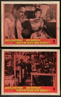 4k924 DAYS OF WINE & ROSES 2 LCs '63 Blake Edwards, alcoholics Jack Lemmon & Lee Remick, Bickford!