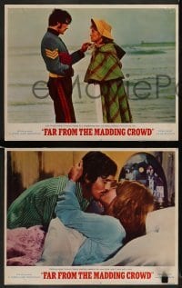 4k240 FAR FROM THE MADDING CROWD 8 LCs '68 Julie Christie, Terence Stamp, Peter Finch!