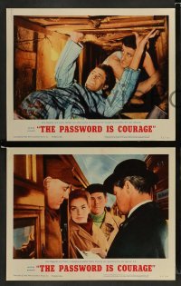 4k581 PASSWORD IS COURAGE 8 LCs '63 Dirk Bogarde in an English version of The Great Escape!
