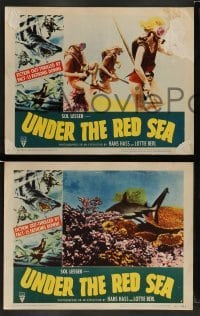 4k729 UNDER THE RED SEA 8 LCs '52 cool border art of scuba divers & sexy swimmer fighting shark!
