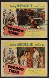 4k745 VOODOO TIGER 8 LCs '52 Johnny Weissmuller as Jungle Jim & sexy Jeanne Dean!