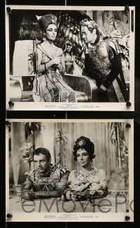 4x729 CLEOPATRA 5 8x10 stills '63 Rex Harrison as Julius Caesar, sexy Elizabeth Taylor!