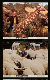 4x086 DOCTOR DOLITTLE 8 color 8x10 stills R69 Samantha Eggar, Rex Harrison speaks with animals!