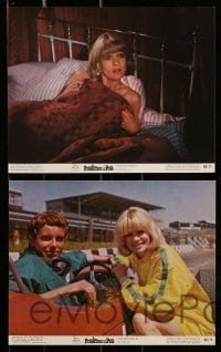4x148 PRUDENCE & THE PILL 8 color 8x10 stills '68 Deborah Kerr, David Niven, Judy Geeson!