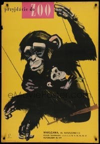 5d247 PRZYJDZCIE DO ZOO Polish 27x39 '60s great art of chimpanzee & its baby swinging!