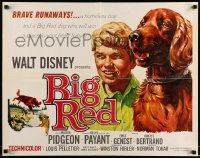 5g038 BIG RED 1/2sh '62 Disney, Walter Pigeon, cool artwork of Irish Setter dog!