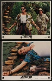 5j510 ACE VENTURA WHEN NATURE CALLS 7 LCs '95 great images of wacky Jim Carrey and animals!