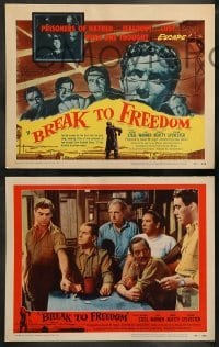 5j065 BREAK TO FREEDOM 8 LCs '55 Anthony Steel, Jack Warner, World War II prison escape!