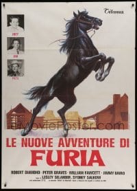 5k403 LE NUOVE AVVENTURE DI FURIA Italian 1p '77 full-length art of rearing black stallion!