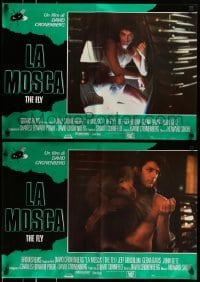 5p775 FLY set of 8 Italian 18x26 pbustas '86 David Cronenberg, Jeff Goldblum, Geena Davis!
