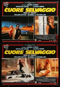 5p827 WILD AT HEART set of 3 Italian 19x26 pbustas '90 David Lynch, Nicolas Cage & Laura Dern!