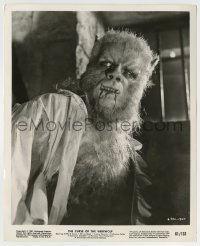 5s192 CURSE OF THE WEREWOLF 8.25x10 still '61 best c/u of Oliver Reed in full monster makeup!