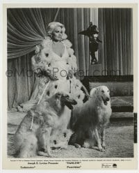 5s353 HARLOW 8.25x10 still '65 wonderful image of sexy Carroll Baker with her two dogs!