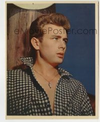 5s010 JAMES DEAN color deluxe 8x10.25 still '50s head & shoulders portrait looking cool!