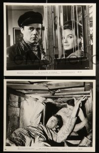 5x171 PASSWORD IS COURAGE 15 8x10 stills '63 Dirk Bogarde in an English version of The Great Escape