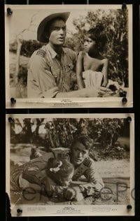 5x247 PURPLE PLAIN 11 8x10 stills '55 great images of Gregory Peck, written by Eric Ambler!