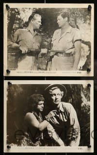 5x533 PYGMY ISLAND 6 8x10 stills '50 Johnny Weissmuller as Jungle Jim with Ann Savage!