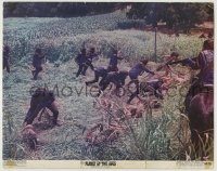 6c805 PLANET OF THE APES color 11x14 still '68 classic sci-fi, wild image of apes capturing humans!