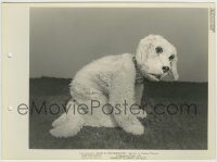 6h038 ALICE IN WONDERLAND candid 8x11 key book still '33 great close up of actor in puppy suit!