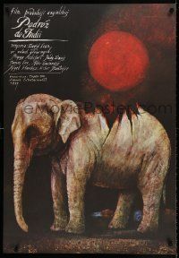 6j977 PASSAGE TO INDIA Polish 26x38 '86 David Lean, different elephant art by Wiktor Sadowski!