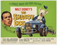 6r253 SHAGGY DOG TC R67 Disney, Fred MacMurray in the funniest sheep dog story ever told!