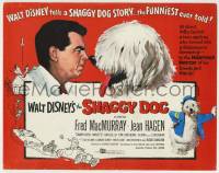 6r252 SHAGGY DOG TC '59 Disney, Fred MacMurray in the funniest sheep dog story ever told!