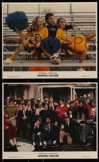 6s196 ANIMAL HOUSE 4 8x10 mini LCs '78 John Belushi w/ cheerleaders, Tim Matheson, frat house!