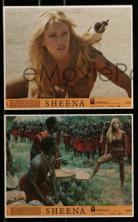6s102 SHEENA 8 8x10 mini LCs '84 artwork of sexy Tanya Roberts riding zebra in Africa!