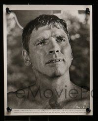 6s259 SWIMMER 83 8x10 stills '68 all the 1st 83 numbered stills, great Lancaster & Landgard images!