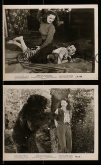 6s816 TIMBER FURY 4 8x10 stills '50 Zoro the Wonder Dog, Laura Lee giving a spanking, wacky bear!