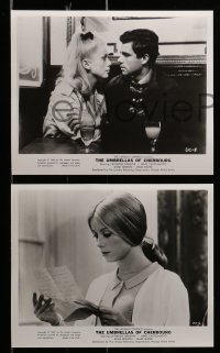 6s612 UMBRELLAS OF CHERBOURG 7 8x10 stills '65 sexy Catherine Deneuve, directed by Jacques Demy!