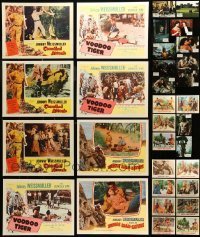 7a059 LOT OF 32 U.S. AND SPANISH LOBBY CARDS FROM TARZAN AND JUNGLE JIM MOVIES '50s-80s cool!