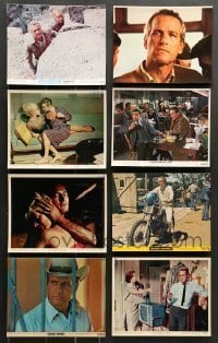 7a303 LOT OF 15 PAUL NEWMAN COLOR 8X10 STILLS '60s-70s great scenes from several of his movies!