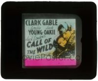 7d287 CALL OF THE WILD glass slide R1953 c/u of Clark Gable & Loretta Young embracing, Jack London