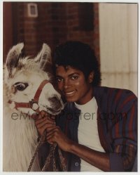7h081 MICHAEL JACKSON color 8x10 news photo 1980s great c/u with his beloved pet Louie the Llama!