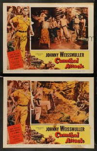 7z904 CANNIBAL ATTACK 2 LCs 1954 border art of Johnny Weissmuller w/knife + cool images!