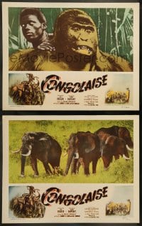 7z917 CONGOLAISE 2 LCs 1950 great African jungle animal images, gorillas, elephants!