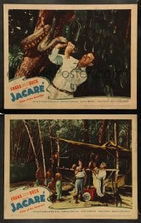 7z944 JACARE 2 LCs 1942 Frank Buck's first feature picture ever filmed in the wild Amazon Jungle!