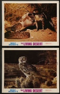 7z950 LIVING DESERT/VANISHING PRAIRIE 2 LCs 1971 great images from Walt Disney wildlife double-bill!